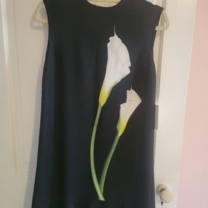NWT Victoria Beckham for Target Dress